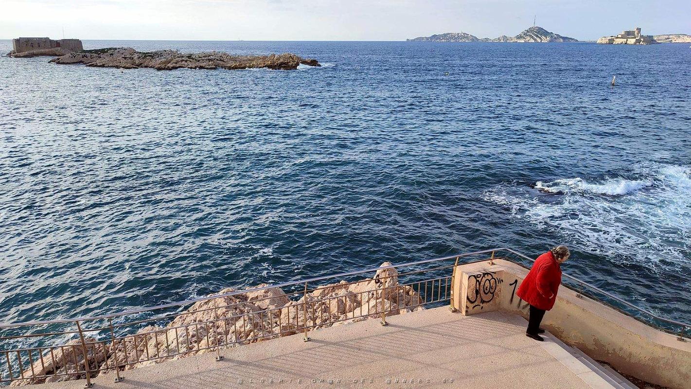 2022 12 MARSEILLE-ENDOUME DU PORT DE MALMOUSQUE A MALDORME (42).jpg